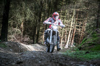 enduro-digital-images;enduro-photos;eventdigitalimages;llandrindod-wells;no-limits-trackdays;peter-wileman-photography;trackday-digital-images;wales;welsh-2-day-enduro