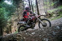 enduro-digital-images;enduro-photos;eventdigitalimages;llandrindod-wells;no-limits-trackdays;peter-wileman-photography;trackday-digital-images;wales;welsh-2-day-enduro