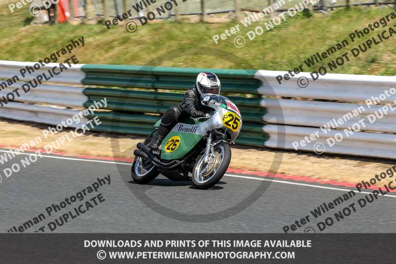 Vintage motorcycle club;eventdigitalimages;mallory park;mallory park trackday photographs;no limits trackdays;peter wileman photography;trackday digital images;trackday photos;vmcc festival 1000 bikes photographs