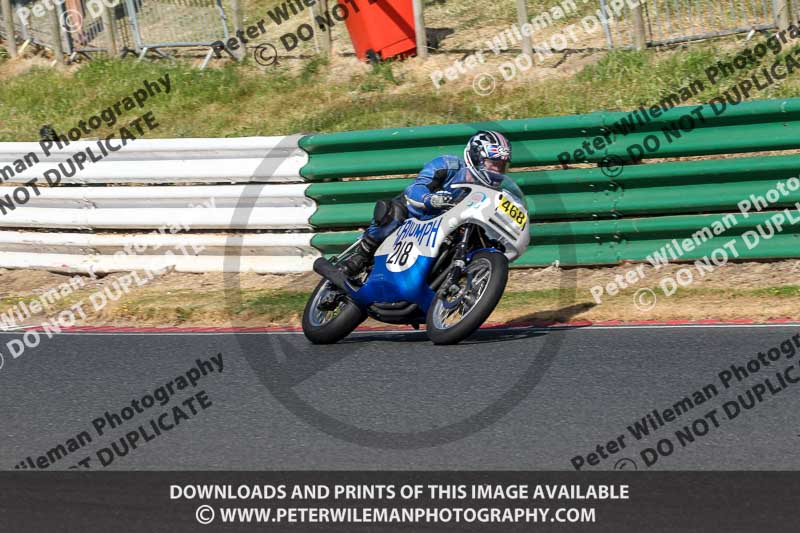 Vintage motorcycle club;eventdigitalimages;mallory park;mallory park trackday photographs;no limits trackdays;peter wileman photography;trackday digital images;trackday photos;vmcc festival 1000 bikes photographs