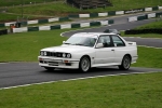 A GROUP WHITE / SILVER CARS