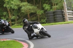 110808cadwell