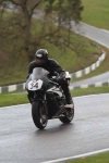 081109cadwell