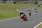 FAST RED/ORANGE BIKES