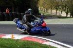 A GROUP BLUE/WHITE BIKES