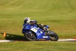 110810cadwell