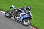 A GROUP BLUE/WHITE BIKES