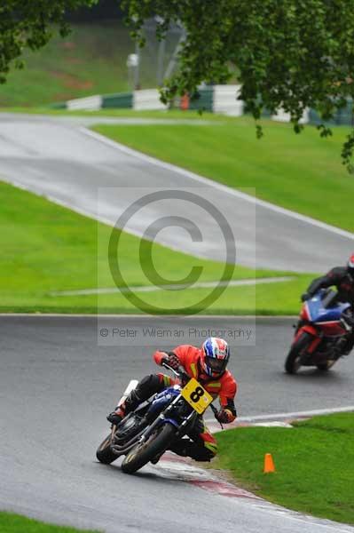 anglesey;brands hatch;cadwell park;croft;digital images;donington park;enduro;enduro digital images;event;event digital images;eventdigitalimages;mallory park;no limits;oulton park;peter wileman photography;racing;racing digital images;silverstone;snetterton;trackday;trackday digital images;trackday photos;vintage;vmcc banbury run;welsh 2 day enduro