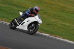 Mallory-park-Leicestershire;Mallory-park-photographs;Motorcycle-action-photographs;event-digital-images;eventdigitalimages;mallory-park;no-limits-trackday;peter-wileman-photography;trackday;trackday-digital-images;trackday-photos