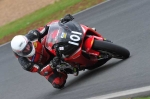 Mallory-park-Leicestershire;Mallory-park-photographs;Motorcycle-action-photographs;event-digital-images;eventdigitalimages;mallory-park;no-limits-trackday;peter-wileman-photography;trackday;trackday-digital-images;trackday-photos