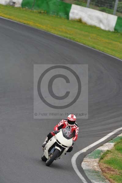 Mallory park Leicestershire;Mallory park photographs;Motorcycle action photographs;event digital images;eventdigitalimages;mallory park;no limits trackday;peter wileman photography;trackday;trackday digital images;trackday photos