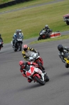 Motorcycle-action-photographs;Trackday-digital-images;Ty-croes;anglesey;anglesey-photographs;event-digital-images;eventdigitalimages;no-limits-trackday;peter-wileman-photography;trac-mon;trackday;trackday-photos