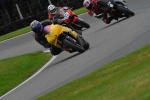 Motorcycle-action-photographs;Trackday-digital-images;cadwell;cadwell-park-photographs;event-digital-images;eventdigitalimages;motor-racing-louth-lincolnshire;no-limits-trackday;peter-wileman-photography;trackday;trackday-photos