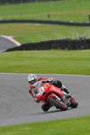 Motorcycle-action-photographs;Trackday-digital-images;cadwell;cadwell-park-photographs;event-digital-images;eventdigitalimages;motor-racing-louth-lincolnshire;no-limits-trackday;peter-wileman-photography;trackday;trackday-photos