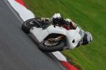 Motorcycle-action-photographs;Trackday-digital-images;cadwell;cadwell-park-photographs;event-digital-images;eventdigitalimages;motor-racing-louth-lincolnshire;no-limits-trackday;peter-wileman-photography;trackday;trackday-photos