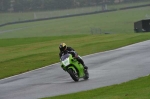 Motorcycle-action-photographs;Trackday-digital-images;cadwell;cadwell-park-photographs;event-digital-images;eventdigitalimages;motor-racing-louth-lincolnshire;no-limits-trackday;peter-wileman-photography;trackday;trackday-photos