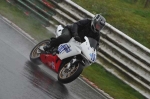 Mallory-park-Leicestershire;Mallory-park-photographs;Motorcycle-action-photographs;event-digital-images;eventdigitalimages;mallory-park;no-limits-trackday;peter-wileman-photography;trackday;trackday-digital-images;trackday-photos