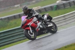 Mallory-park-Leicestershire;Mallory-park-photographs;Motorcycle-action-photographs;event-digital-images;eventdigitalimages;mallory-park;no-limits-trackday;peter-wileman-photography;trackday;trackday-digital-images;trackday-photos