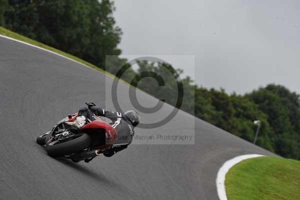 Motorcycle action photographs;cadwell;cadwell park photographs;event digital images;eventdigitalimages;motor racing louth lincolnshire;no limits trackday;peter wileman photography;trackday;trackday digital images;trackday photos