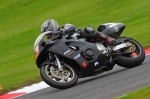 Motorcycle-action-photographs;cadwell;cadwell-park-photographs;event-digital-images;eventdigitalimages;motor-racing-louth-lincolnshire;no-limits-trackday;peter-wileman-photography;trackday;trackday-digital-images;trackday-photos