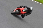 Motorcycle-action-photographs;cadwell;cadwell-park-photographs;event-digital-images;eventdigitalimages;motor-racing-louth-lincolnshire;no-limits-trackday;peter-wileman-photography;trackday;trackday-digital-images;trackday-photos