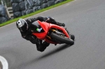 Motorcycle-action-photographs;cadwell;cadwell-park-photographs;event-digital-images;eventdigitalimages;motor-racing-louth-lincolnshire;no-limits-trackday;peter-wileman-photography;trackday;trackday-digital-images;trackday-photos