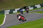 Motorcycle-action-photographs;cadwell;cadwell-park-photographs;event-digital-images;eventdigitalimages;motor-racing-louth-lincolnshire;no-limits-trackday;peter-wileman-photography;trackday;trackday-digital-images;trackday-photos