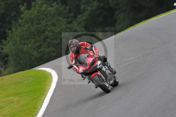 Motorcycle action photographs;cadwell;cadwell park photographs;event digital images;eventdigitalimages;motor racing louth lincolnshire;no limits trackday;peter wileman photography;trackday;trackday digital images;trackday photos