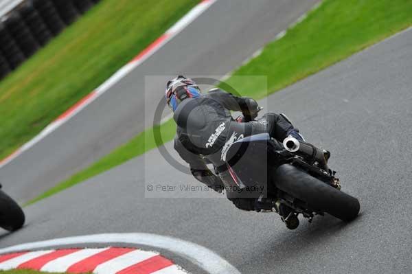 Motorcycle action photographs;cadwell;cadwell park photographs;event digital images;eventdigitalimages;motor racing louth lincolnshire;no limits trackday;peter wileman photography;trackday;trackday digital images;trackday photos