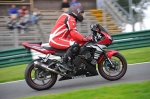 Motorcycle-action-photographs;cadwell;cadwell-park-photographs;event-digital-images;eventdigitalimages;motor-racing-louth-lincolnshire;no-limits-trackday;peter-wileman-photography;trackday;trackday-digital-images;trackday-photos