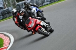 Motorcycle-action-photographs;cadwell;cadwell-park-photographs;event-digital-images;eventdigitalimages;motor-racing-louth-lincolnshire;no-limits-trackday;peter-wileman-photography;trackday;trackday-digital-images;trackday-photos