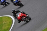 Motorcycle-action-photographs;cadwell;cadwell-park-photographs;event-digital-images;eventdigitalimages;motor-racing-louth-lincolnshire;no-limits-trackday;peter-wileman-photography;trackday;trackday-digital-images;trackday-photos