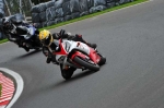 Motorcycle-action-photographs;cadwell;cadwell-park-photographs;event-digital-images;eventdigitalimages;motor-racing-louth-lincolnshire;no-limits-trackday;peter-wileman-photography;trackday;trackday-digital-images;trackday-photos