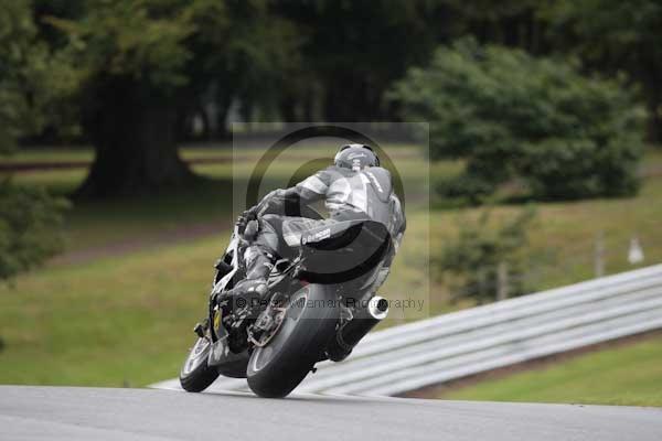 Motorcycle action photographs;event digital images;eventdigitalimages;no limits trackday;oulton park;oulton park circuit cheshire;oulton park photographs;peter wileman photography;trackday;trackday digital images;trackday photos