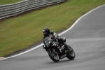 Motorcycle-action-photographs;event-digital-images;eventdigitalimages;no-limits-trackday;oulton-park;oulton-park-circuit-cheshire;oulton-park-photographs;peter-wileman-photography;trackday;trackday-digital-images;trackday-photos