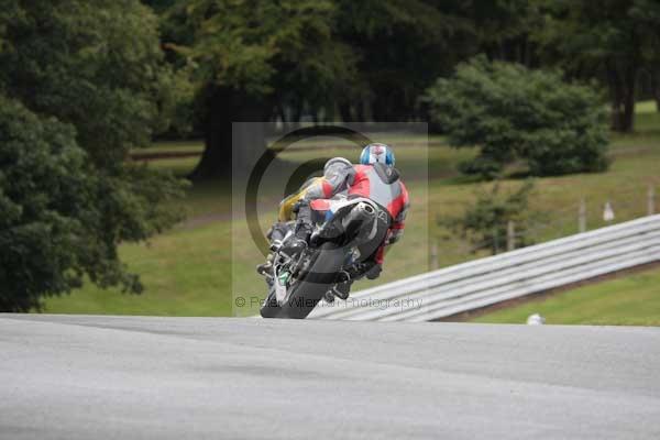 Motorcycle action photographs;event digital images;eventdigitalimages;no limits trackday;oulton park;oulton park circuit cheshire;oulton park photographs;peter wileman photography;trackday;trackday digital images;trackday photos