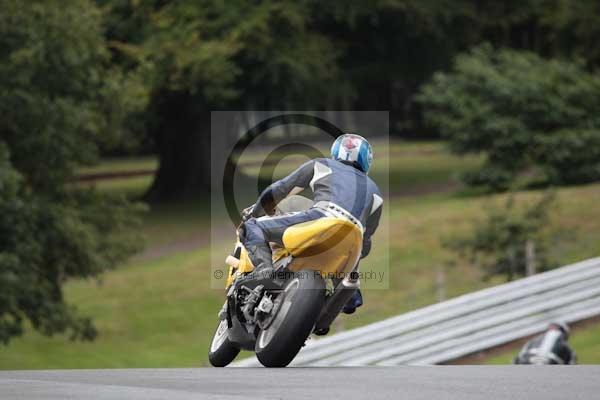 Motorcycle action photographs;event digital images;eventdigitalimages;no limits trackday;oulton park;oulton park circuit cheshire;oulton park photographs;peter wileman photography;trackday;trackday digital images;trackday photos