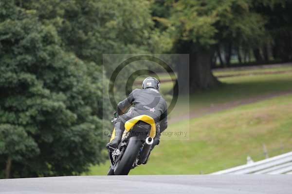 Motorcycle action photographs;event digital images;eventdigitalimages;no limits trackday;oulton park;oulton park circuit cheshire;oulton park photographs;peter wileman photography;trackday;trackday digital images;trackday photos