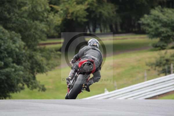 Motorcycle action photographs;event digital images;eventdigitalimages;no limits trackday;oulton park;oulton park circuit cheshire;oulton park photographs;peter wileman photography;trackday;trackday digital images;trackday photos