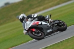 Motorcycle-action-photographs;Ty-croes;anglesey;anglesey-photographs;event-digital-images;eventdigitalimages;no-limits-trackday;peter-wileman-photography;trac-mon;trackday;trackday-digital-images;trackday-photos