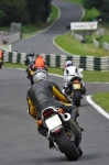 A Group  Multicolor Bikes