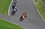 A Group Blue/White Bikes