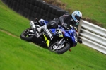 anglesey;brands-hatch;cadwell-park;croft;digital-images;donington-park;enduro;enduro-digital-images;event;event-digital-images;eventdigitalimages;mallory-park;no-limits;oulton-park;peter-wileman-photography;racing;racing-digital-images;silverstone;snetterton;trackday;trackday-digital-images;trackday-photos;vintage;vmcc-banbury-run;welsh-2-day-enduro