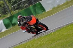 anglesey;brands-hatch;cadwell-park;croft;donington-park;enduro-digital-images;event-digital-images;eventdigitalimages;mallory-park;no-limits;oulton-park;peter-wileman-photography;racing-digital-images;silverstone;snetterton;trackday-digital-images;trackday-photos;vmcc-banbury-run;welsh-2-day-enduro