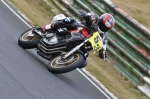 anglesey;brands-hatch;cadwell-park;croft;donington-park;enduro-digital-images;event-digital-images;eventdigitalimages;mallory-park;no-limits;oulton-park;peter-wileman-photography;racing-digital-images;silverstone;snetterton;trackday-digital-images;trackday-photos;vmcc-banbury-run;welsh-2-day-enduro