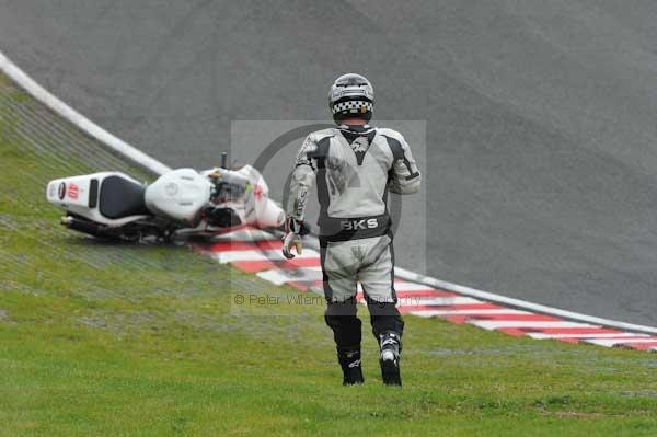 anglesey;brands hatch;cadwell park;croft;digital images;donington park;enduro;enduro digital images;event;event digital images;eventdigitalimages;mallory park;no limits;oulton park;peter wileman photography;racing;racing digital images;silverstone;snetterton;trackday;trackday digital images;trackday photos;vintage;vmcc banbury run;welsh 2 day enduro