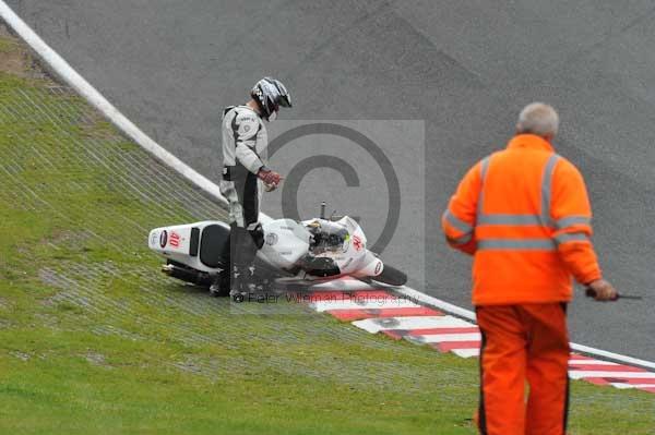 anglesey;brands hatch;cadwell park;croft;digital images;donington park;enduro;enduro digital images;event;event digital images;eventdigitalimages;mallory park;no limits;oulton park;peter wileman photography;racing;racing digital images;silverstone;snetterton;trackday;trackday digital images;trackday photos;vintage;vmcc banbury run;welsh 2 day enduro