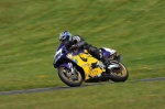 anglesey;brands-hatch;cadwell-park;croft;digital-images;donington-park;enduro;enduro-digital-images;event;event-digital-images;eventdigitalimages;mallory-park;no-limits;oulton-park;peter-wileman-photography;racing;racing-digital-images;silverstone;snetterton;trackday;trackday-digital-images;trackday-photos;vintage;vmcc-banbury-run;welsh-2-day-enduro