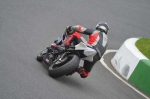 Mallory-park-Leicestershire;Mallory-park-photographs;Motorcycle-action-photographs;event-digital-images;eventdigitalimages;mallory-park;no-limits-trackday;peter-wileman-photography;trackday;trackday-digital-images;trackday-photos