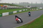 Mallory-park-Leicestershire;Mallory-park-photographs;Motorcycle-action-photographs;event-digital-images;eventdigitalimages;mallory-park;no-limits-trackday;peter-wileman-photography;trackday;trackday-digital-images;trackday-photos